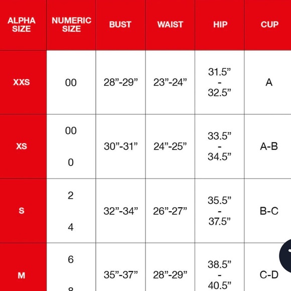 MOVING SALE!! NWT Solid & Striped Redone Bikini Top! - Picture 3 of 5